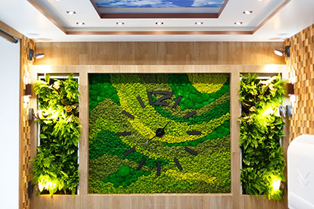 Wall art with the integration of moss and live plants created to your own specifications